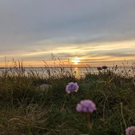 8 Person In Tatil Evi Tarm